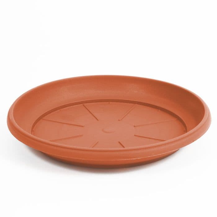 20cm Plastic Saucer for Plants - 20cm Plastic Saucer for Plants